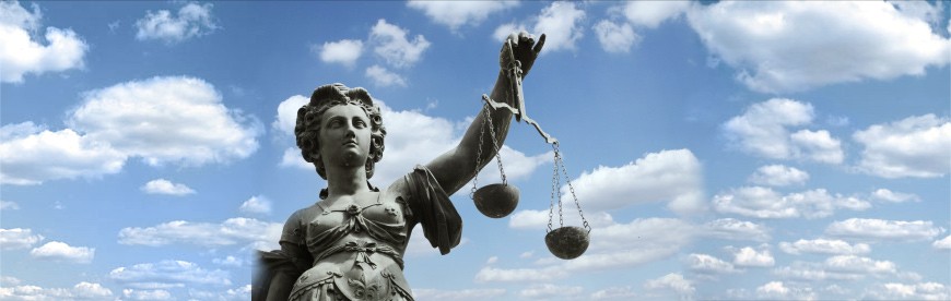 Attorney Profile Employment Law Unemployment Law